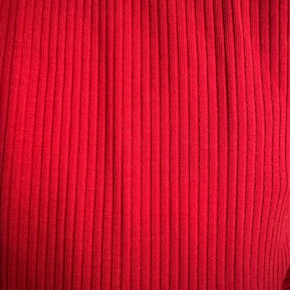 Reformation Red Ribbed Wide-Leg Pants - Picture 2 of 4